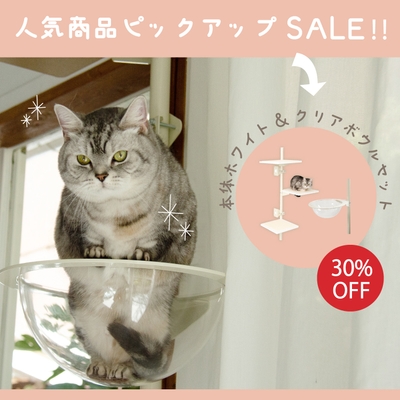 売れ筋商品の限定セール
