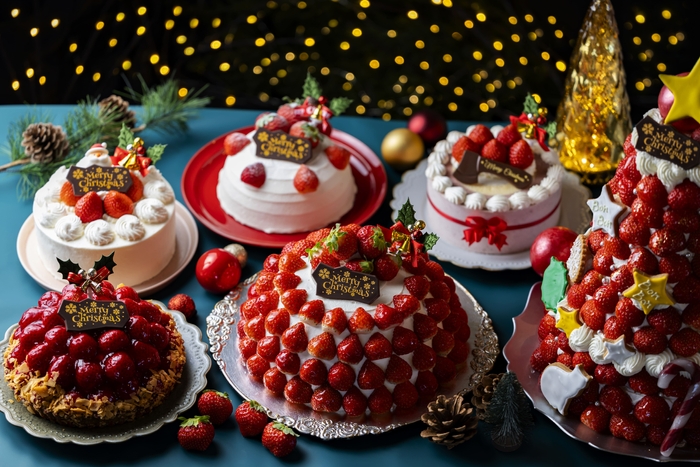 クリスマスケーキ2024 ※写真はイメージです