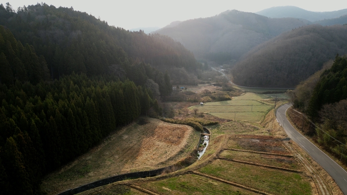 春の里山(ドローン撮影)