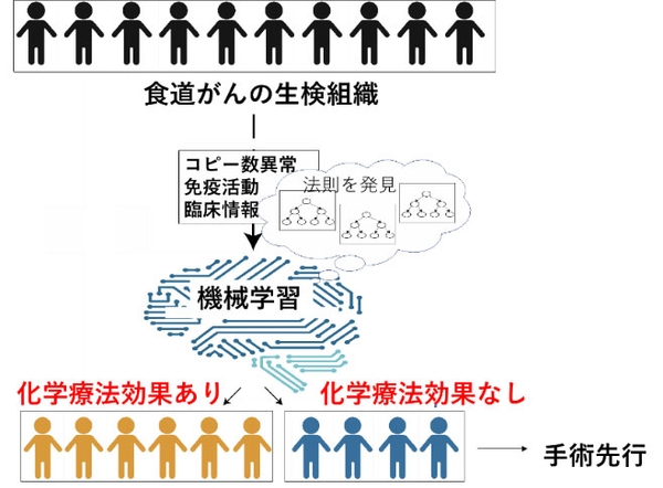ゲノム免疫情報とAIによる食道がんの術前化学療法の効果予測