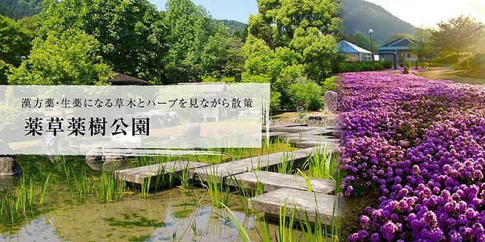 （写真）丹波の湯に使用される薬用を栽培している丹波市薬草薬樹公園（画像提供：丹波市薬草薬樹公園）