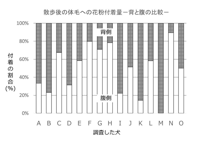 散歩後の犬の体毛への花粉付着量-背側と腹側の比較-