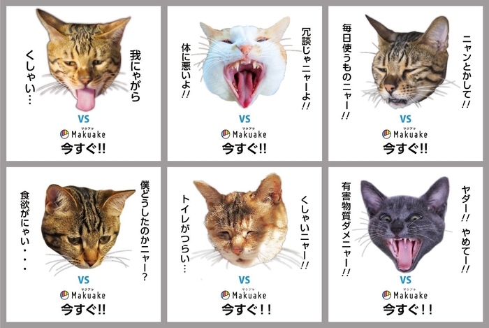 あなたには聞こえますか?猫ちゃんの声が。