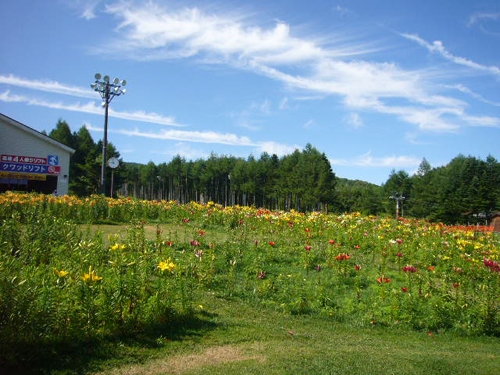 7月22日（金）現在の様子