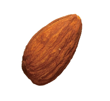 2022.04 クラプレ生地(1)