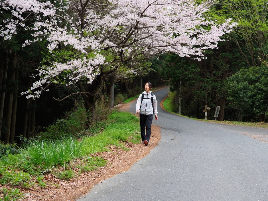 ハイキング　イメージ3