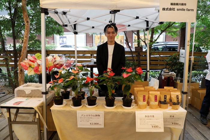 復興の花・アンスリウムもアレンジメントと鉢販売