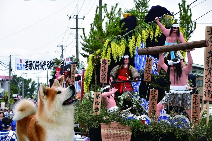 秋田市 土崎港曳山まつり