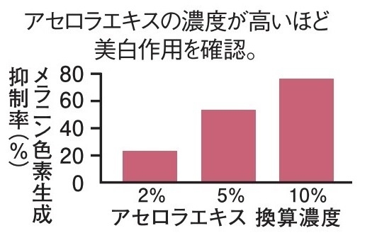 アセロラエキスの美白作用効果