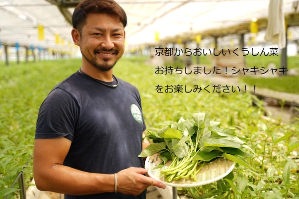 「京のくうしん菜」の販路を拡大　 ～栄養満点、京のくうしん菜をあなたの食卓へ～