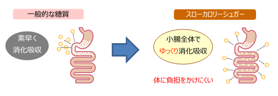 スローカロリーシュガーとは（図）