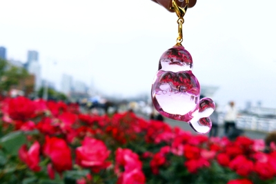おとぼけアザラシめじるしリング 3