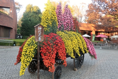 神代植物公園名物「神代花車」(令和3年度)