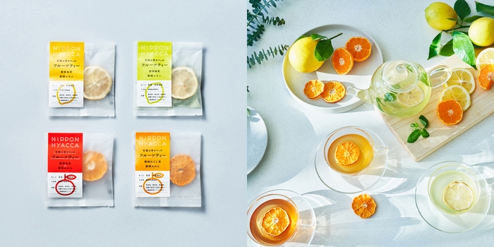 茶楽 山梨商店 フルーツティー 4種セット