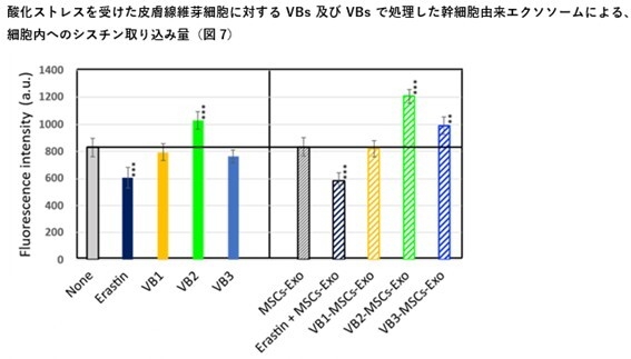 図7