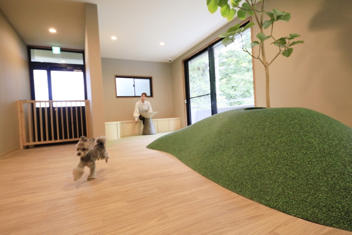 屋内ドッグラン