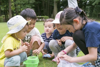 里山体験