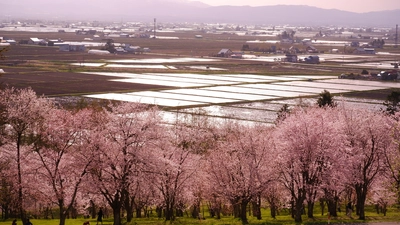 【北海道 東川町】留学生の眼で捉えた「春の花」。写真コンテスト受賞作品を町内で展示中