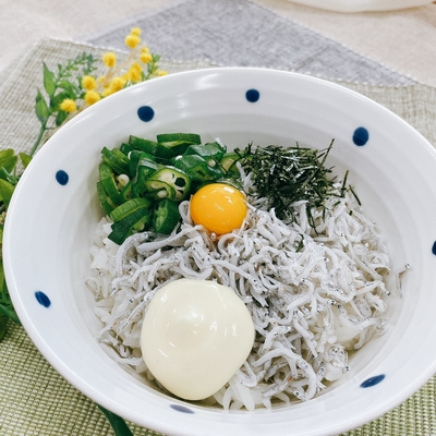 しらす丼 出汁マヨ添え