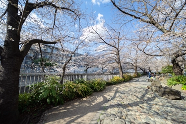 東京都中野区・東中野に「ソーシャルベース東中野」が 2023年3月25日(土)オープン　仕事も遊びもアクティブに