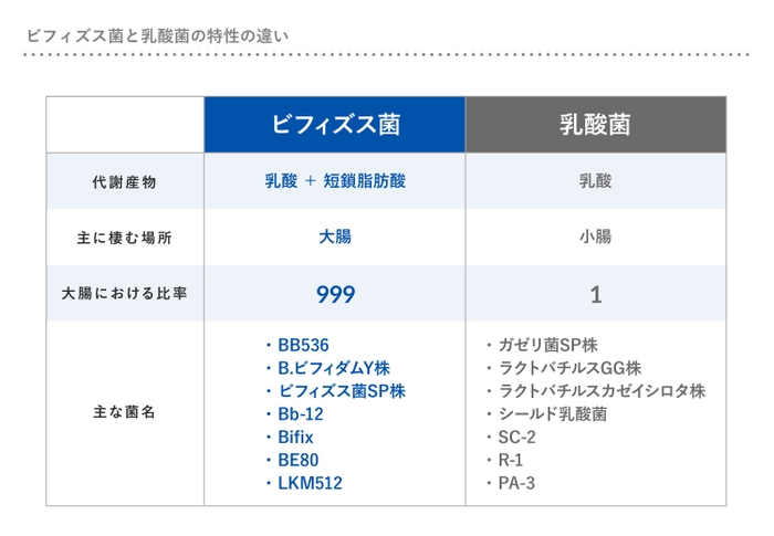 ビフィズス菌と乳酸菌の特性の違い