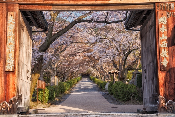 【ロテルド比叡】門前町坂本_西教寺