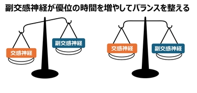 自律神経のバランス