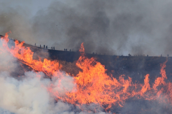 大室山 山焼き3