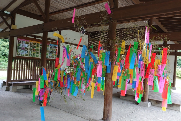 過去開催の様子（浜離宮恩賜庭園）