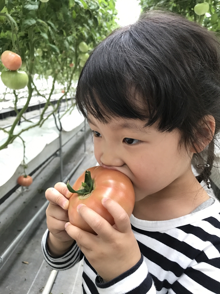 子ども画像