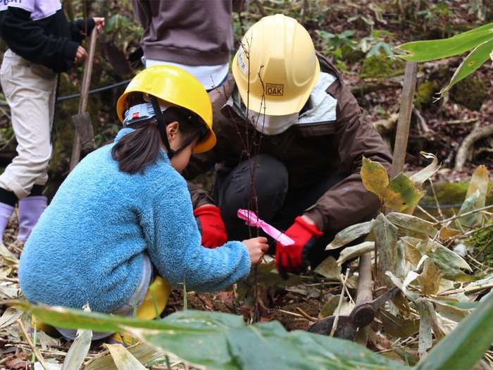 緑の国 植樹祭 4