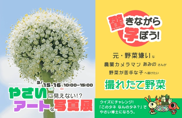 驚きながら学ぼう！「やさいに見えない！？アートな写真展」inむさしの村開催！2025年3月15日・16日