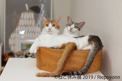 展示作品7