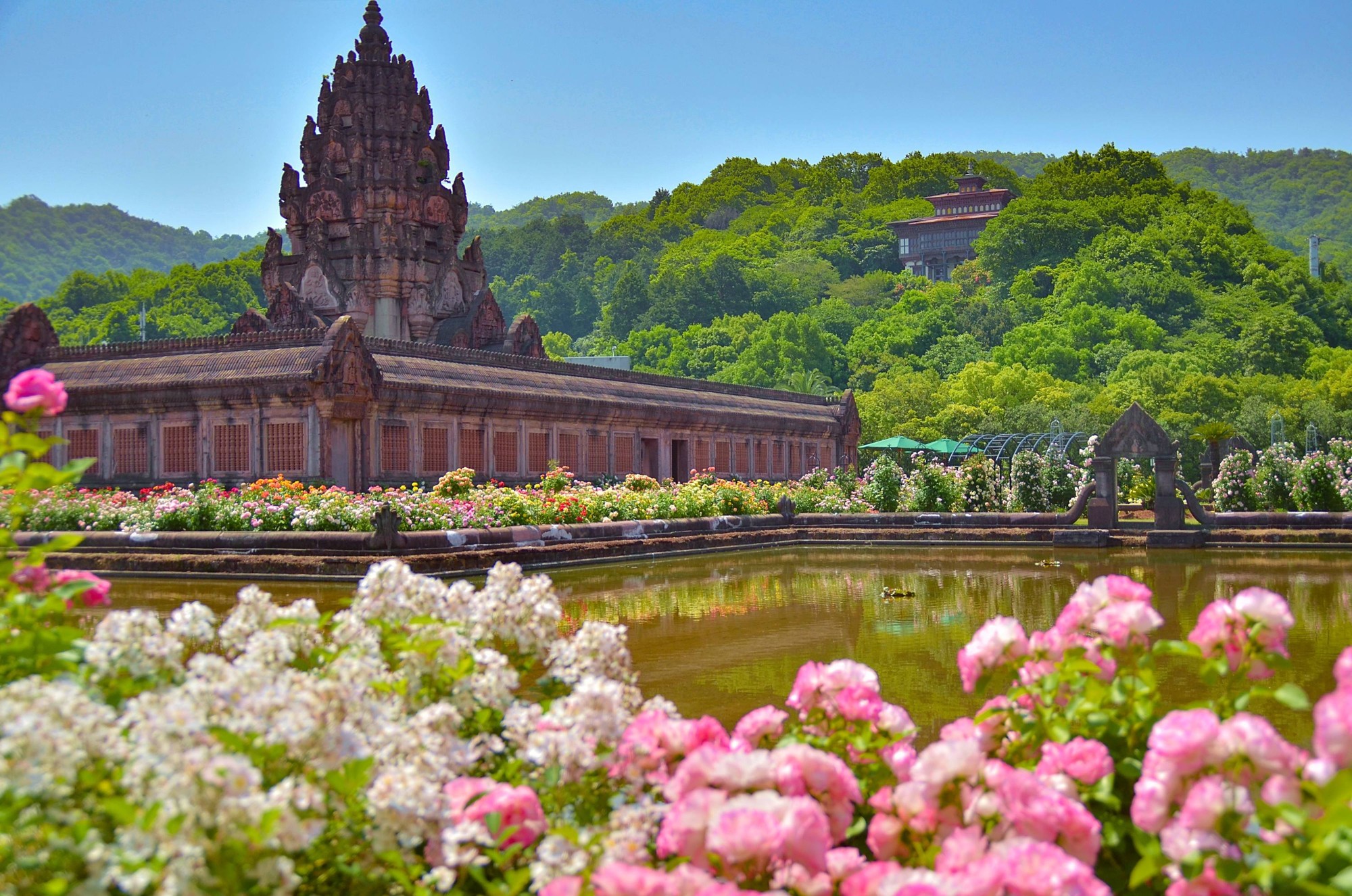 <NEWレオマワールド>
四国最大級!約10万本のバラの祭典
「春の大バラまつり2026」5月1日(金)より開催
