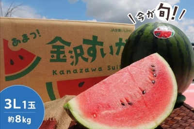 今が旬!金沢すいか