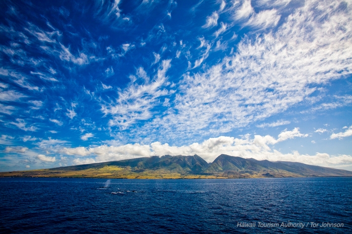 マウイ島