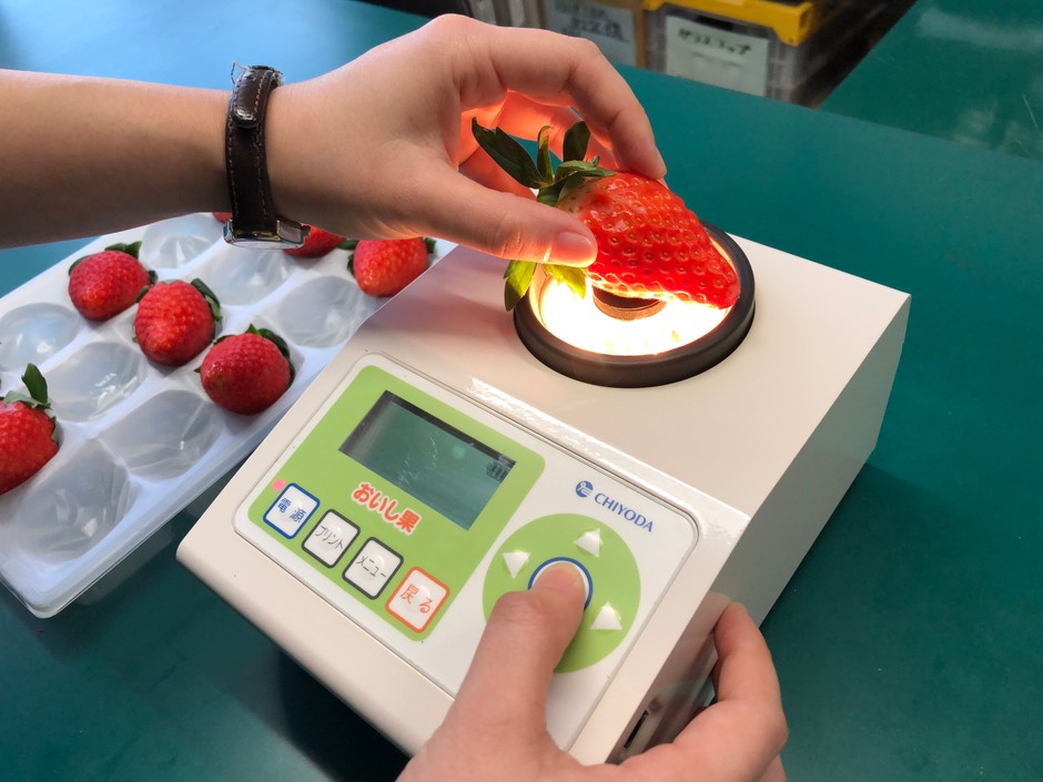 0.5秒で果物の糖度・熟度・酸度を測定！ 非破壊測定器「おいし果」の 
