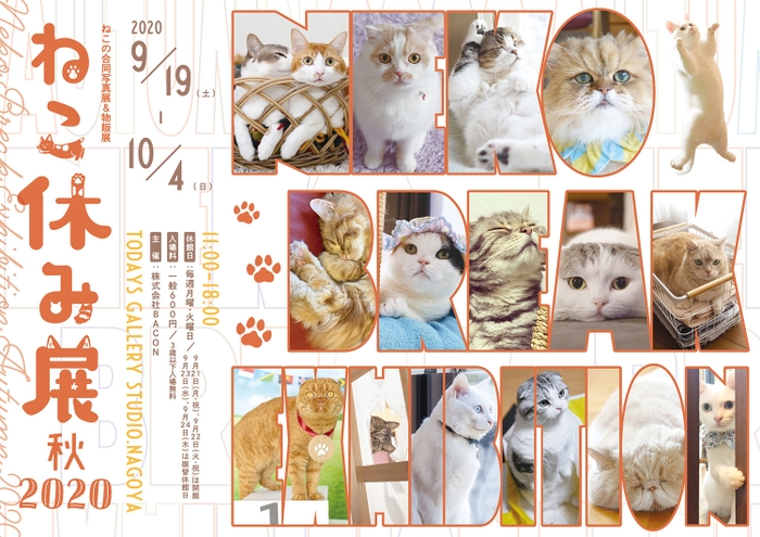 キービジュアル(横)