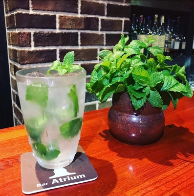 新橋のオーセンティックバー『Bar Atrium』が自家製のミントを ふんだんに使った「大人のモヒート」など 夏限定、旬のカクテルを販売