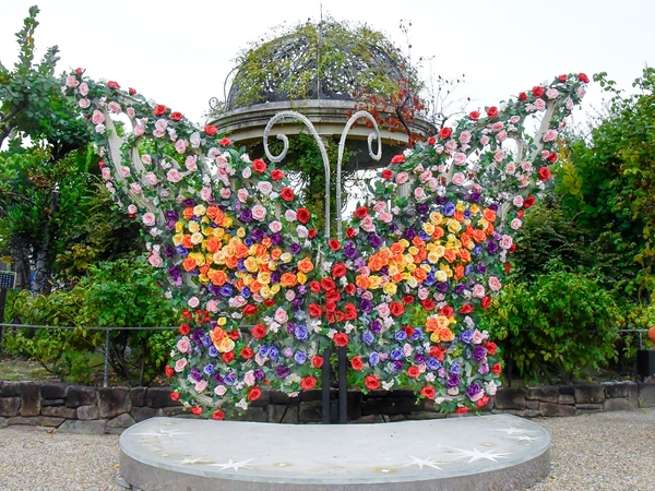 「バタフライ」イメージ