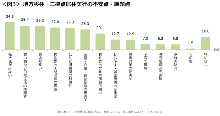 図3_地方移住・二拠点居住実行の不安点・課題点