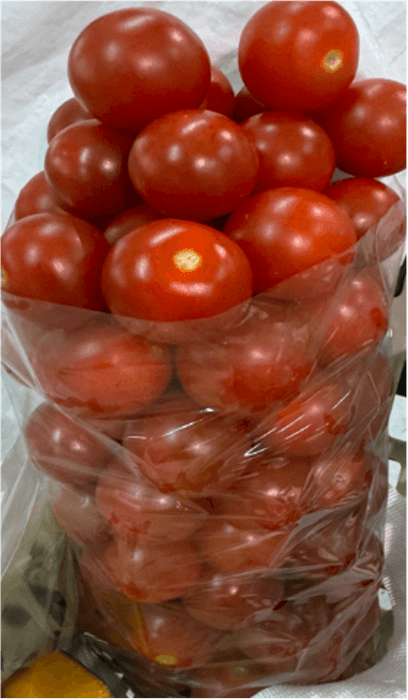 ミニトマト詰め放題イメージ