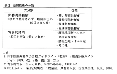 桜カイロプラクティック、 非特異的腰痛の原因をまとめたコラム 「世界初！見過ごされた腰痛の原因  ～非特異的腰痛の治療～」を発表