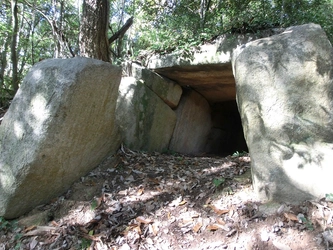 見渡す限り古墳！古代日本の謎がいまも眠る「御領古墳群」を全国に伝えるためガバメントクラウドファンディングで寄付を募集中。