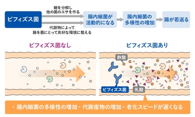 イラスト8