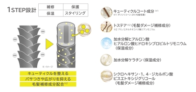 ▼パソコン、スマートフォンから SURUtto公式サイト