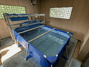 木古庭揚水ポンプ所養殖設備