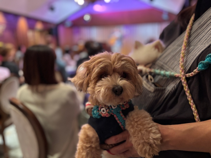 音楽を楽しむわんこ