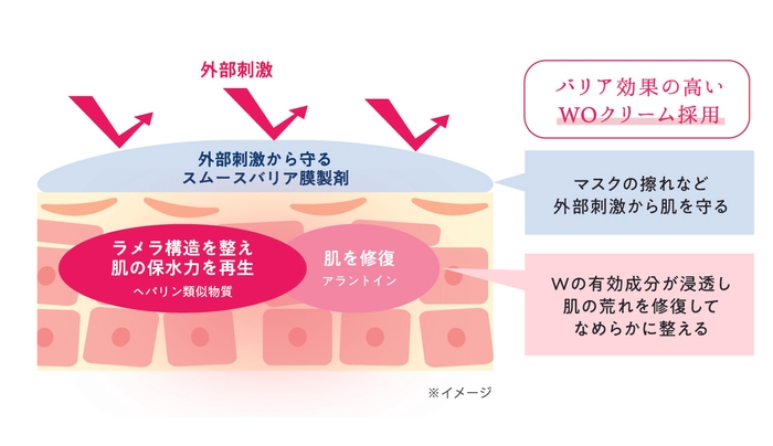 HPクリーム有効成分-イメージ図