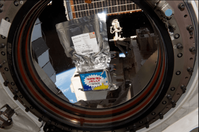 地球を背景に宇宙でプカプカと浮かぶ「リポビタンJELLY FOR SPACE」提供:JAXA/NASA